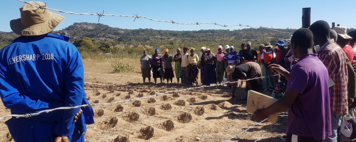 Potholing demonstration at Kwangwa plot in Bikita Ward 12
