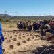 Potholing demonstration at Kwangwa plot in Bikita Ward 12